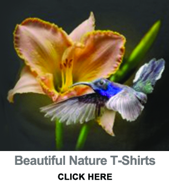 Beautiful natural T-shirts